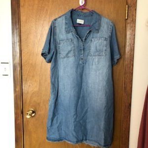 Universal Thread Denim Dress